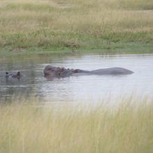 028stiegholzer_afrika_2015.jpg