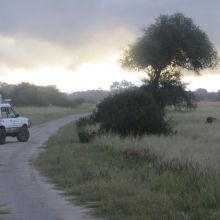 021stiegholzer_afrika_2015.jpg