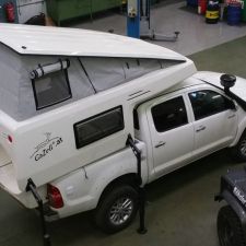 stiegholzer_gazell_004.jpg