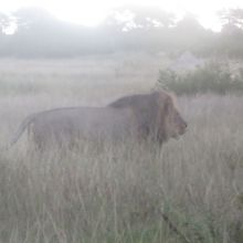019stiegholzer_afrika_2015.jpg