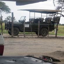 025stiegholzer_afrika_2015.jpg