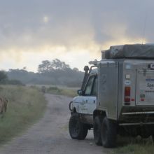 024stiegholzer_afrika_2015.jpg