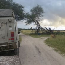 015stiegholzer_afrika_2015.jpg