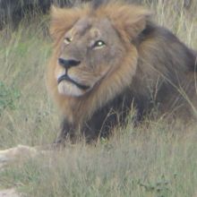 016stiegholzer_afrika_2015.jpg