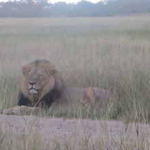 018stiegholzer_afrika_2015.jpg